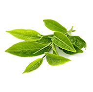 Q-vita Chá verde: Contém cafeína e catequinas, aumenta o metabolismo, possui ação diurética, aumenta a disposição e diminui o cansaço. 